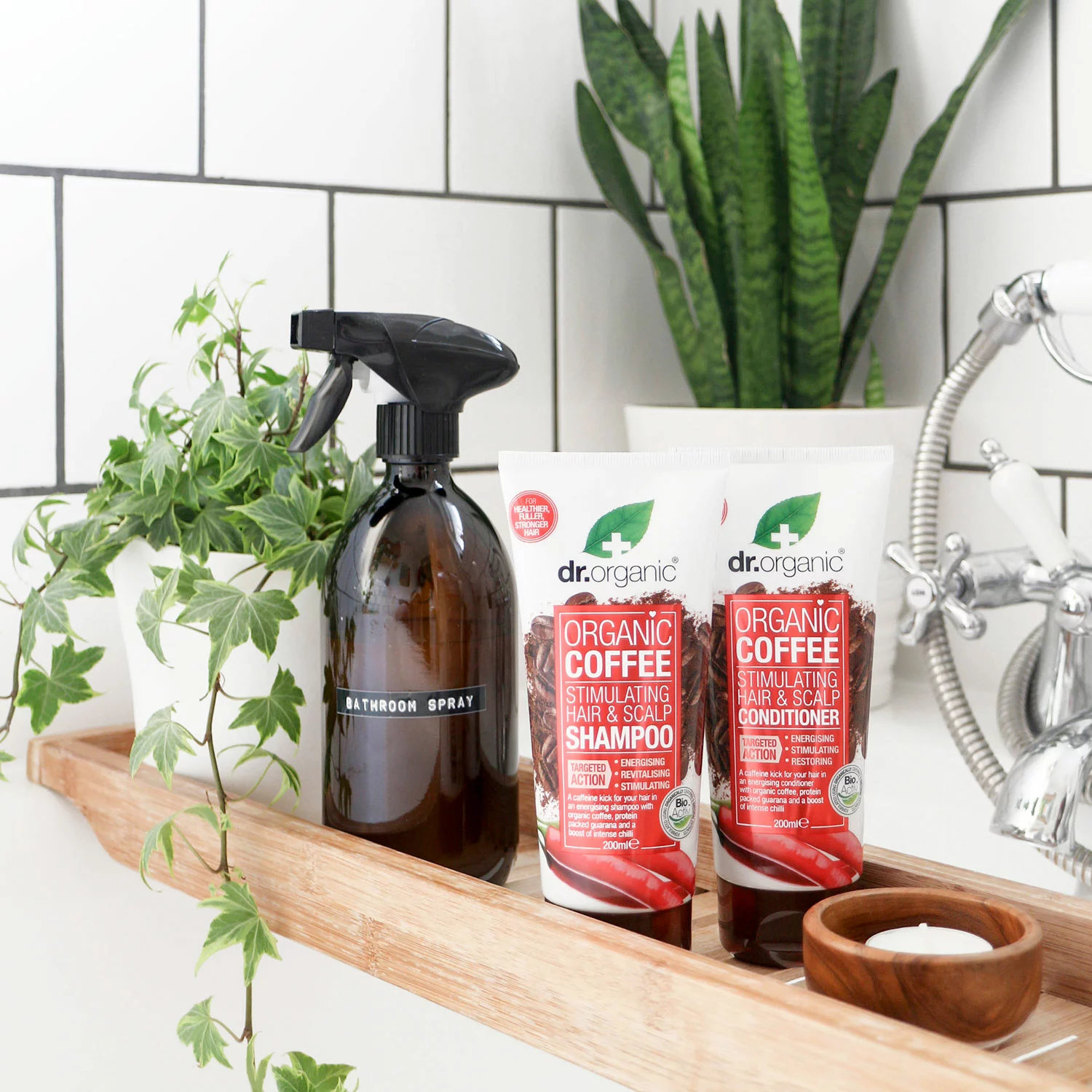 drorganicshampoofinal2